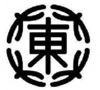 DAITO保險(xiǎn)絲